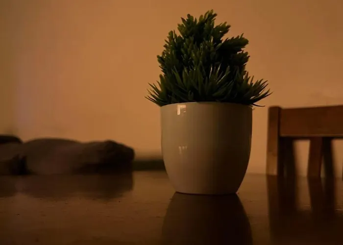 Fern At Grass Residences Starry Staycation 公寓式飯店 马尼拉